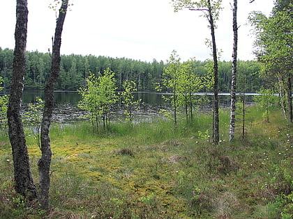 jussi lakes rezerwat przyrody pohja korvemaa
