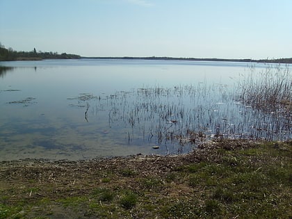 Lake Klooga