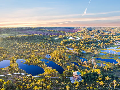 viru bog park narodowy lahemaa