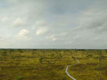 kuresoo bog parque nacional de soomaa