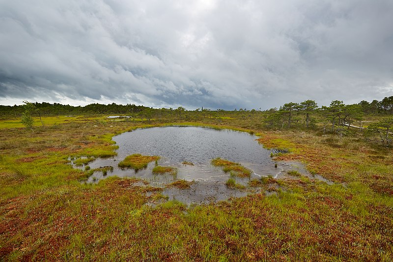 Parc national de Soomaa