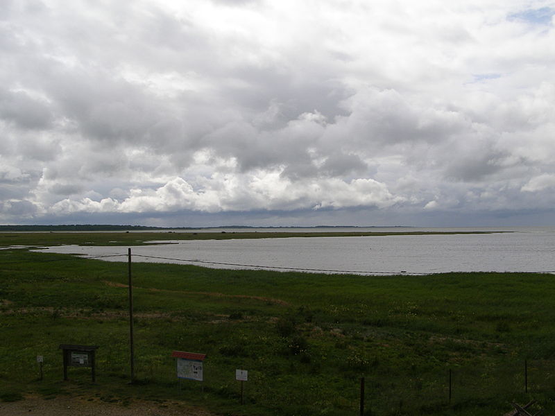 Parc national de Matsalu