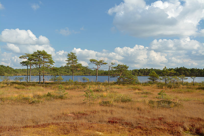 Parc national de Soomaa