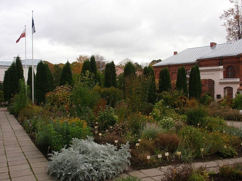 Jardín botánico de la Universidad de Tartu