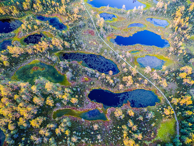 Viru Bog, Nationalpark Lahemaa
