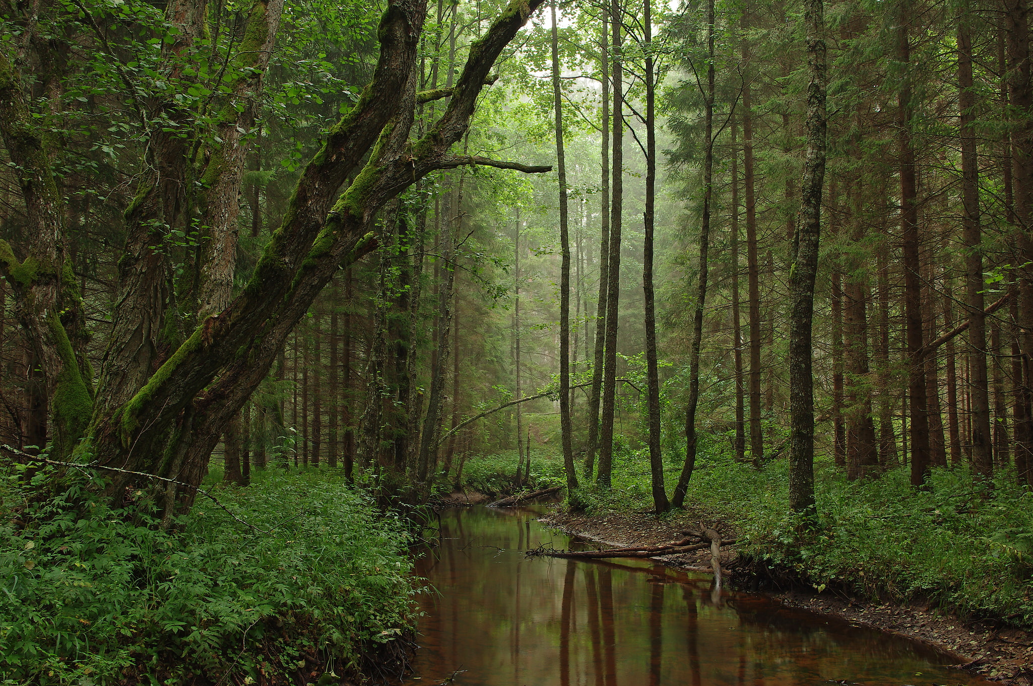 Kõrvemaa Landscape Conservation Area, Estland