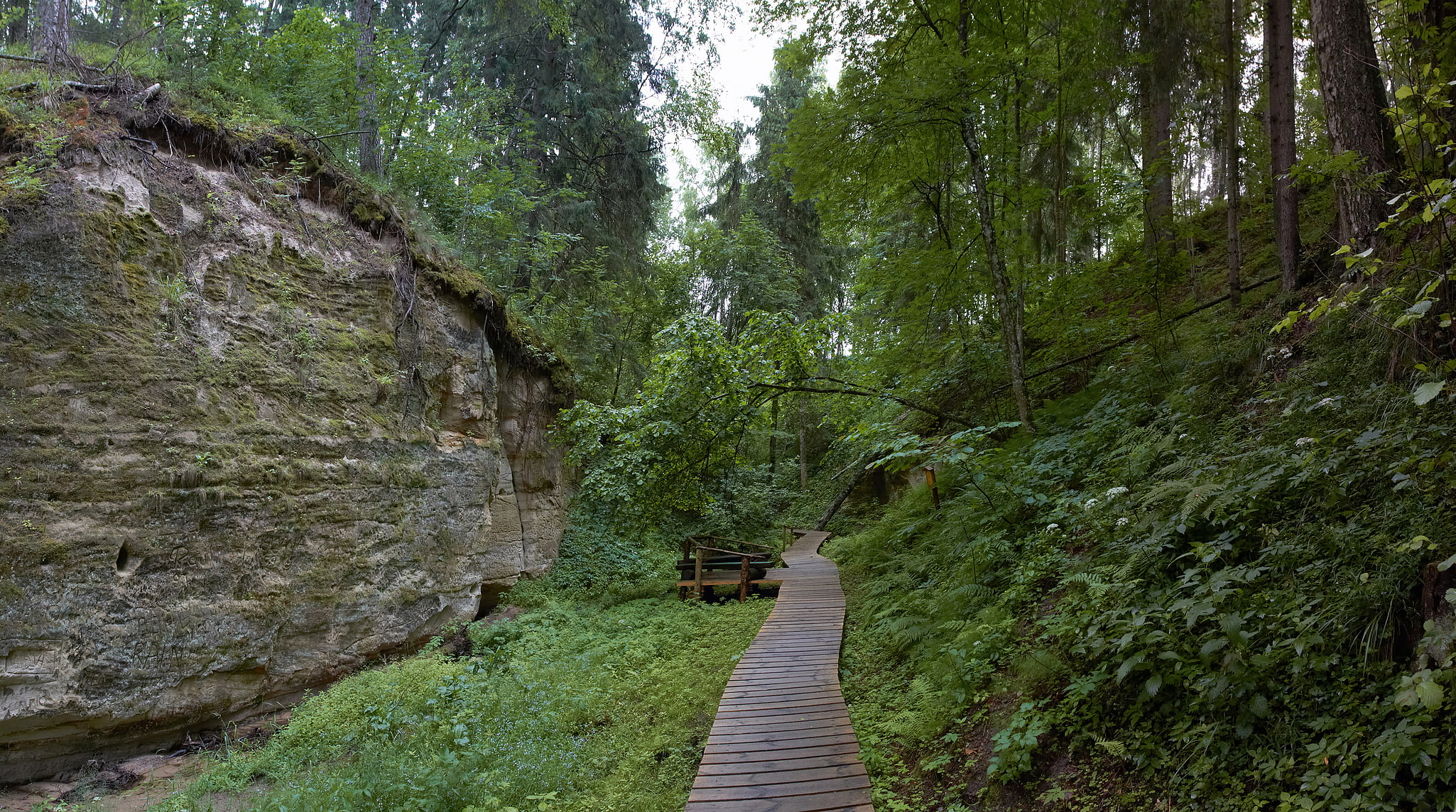 Haanja Landscape Conservation Area, Estonie