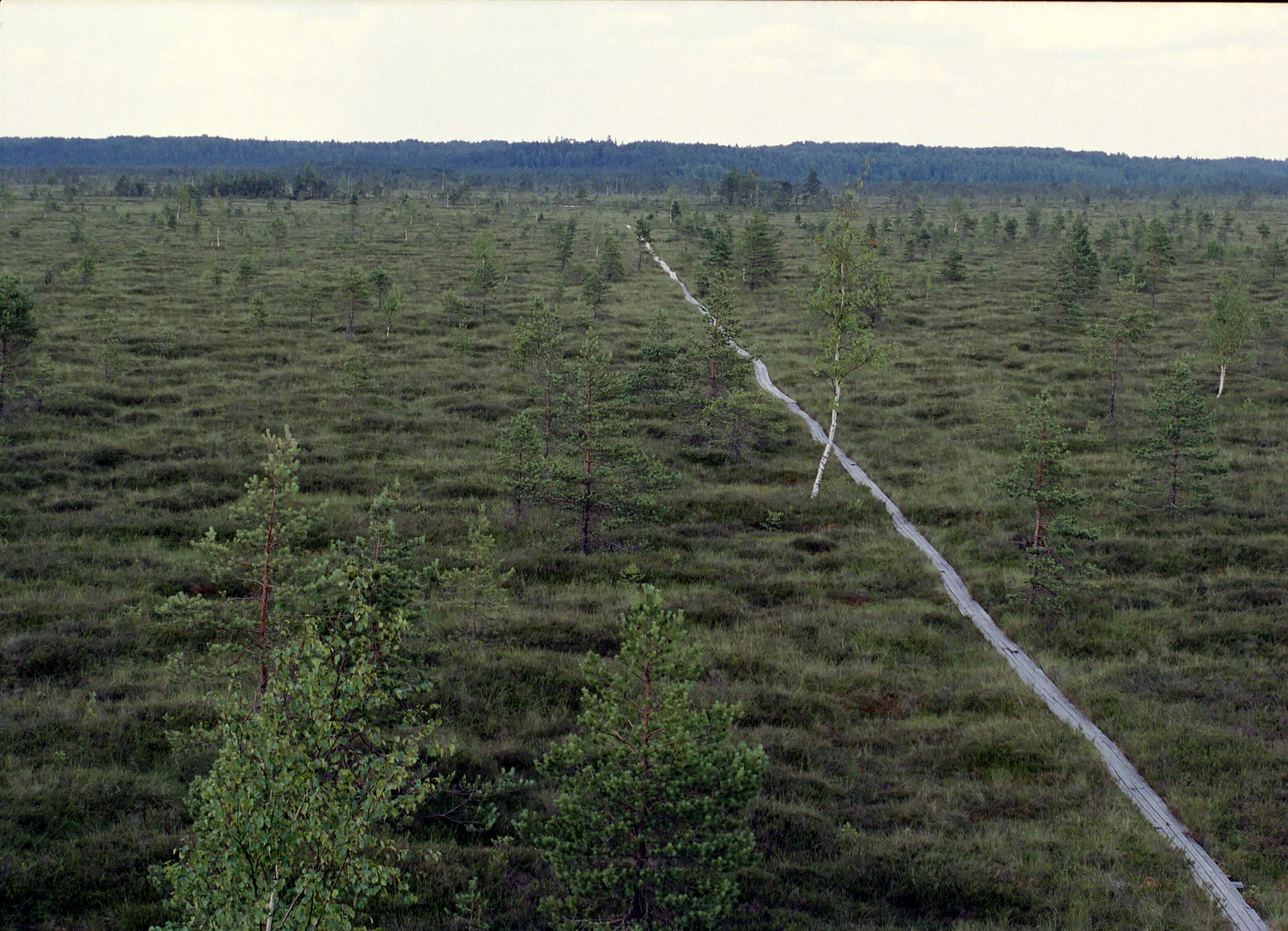 Réserve naturelle de Nigula, Estonie