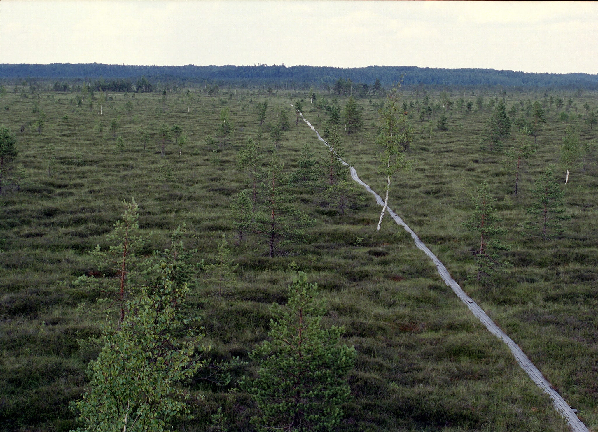 Nigula Nature Reserve, Estonia