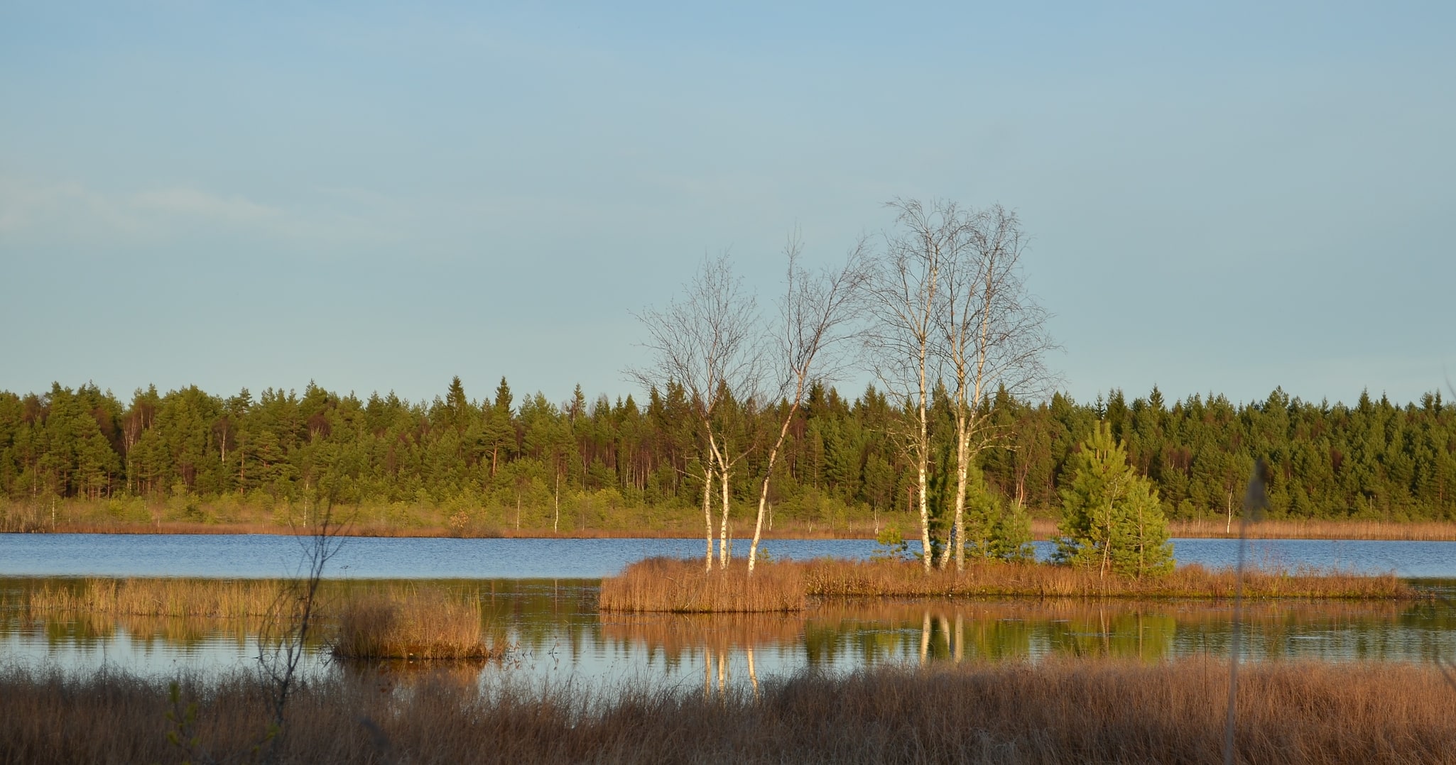 Orkjärv Nature Reserve, Estland