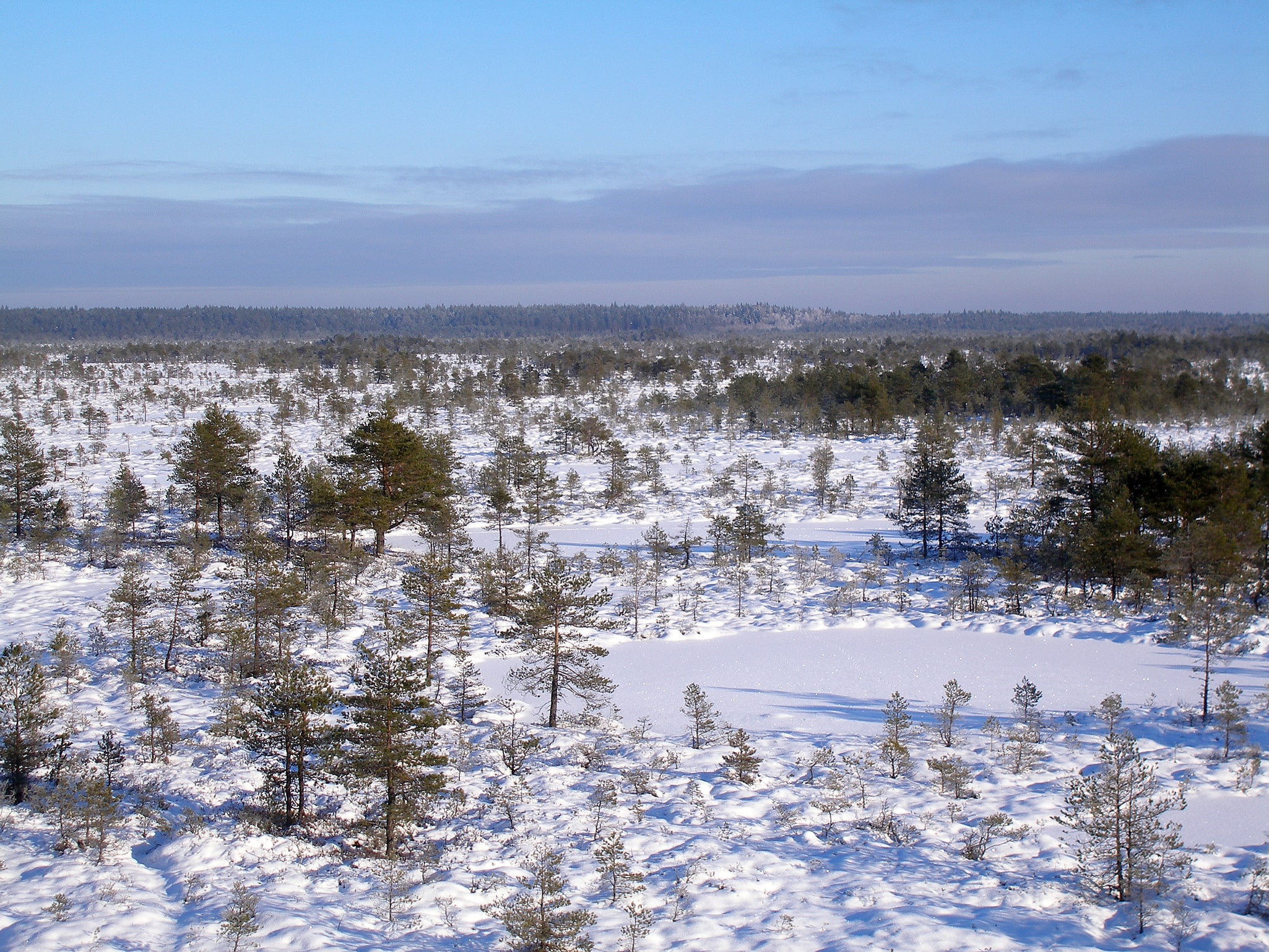 Réserve naturelle de Põhja-Kõrvemaa, Estonie