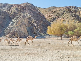 parque nacional wadi el gamal