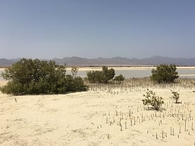 Nabq Protected Area