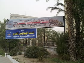 egyptian geological museum kair