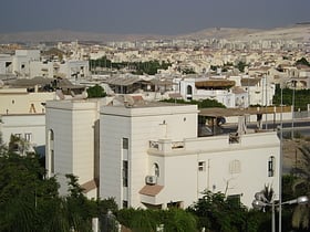 sheikh zayed city