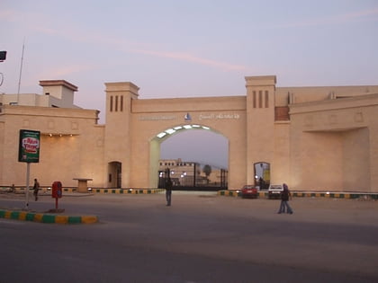 Université de Kafr el-Cheik