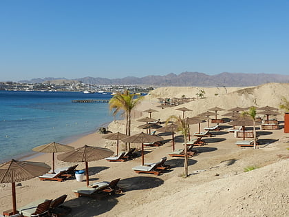 terrazzina beach sharm el sheij
