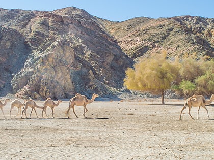 Parque nacional Wadi El Gamal