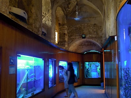 alexandria aquarium