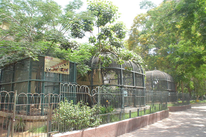 Zoo de Gizeh