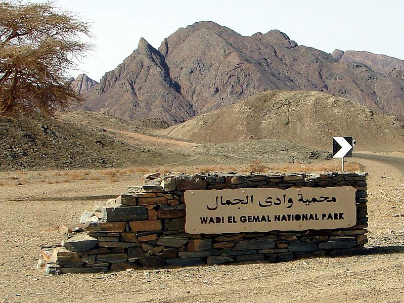 Wadi El Gamal National Park