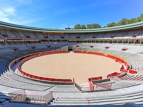 Arènes de Pampelune