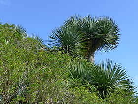 Casa Forestal