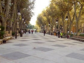 Discover the daily environment in a terrace of the Passeig del Born