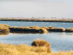 Nationalpark Coto de Doñana