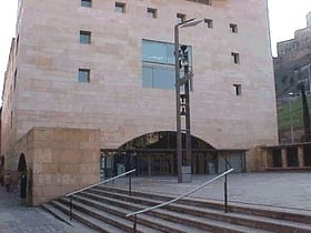 auditori enric granados lleida