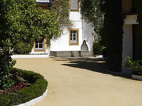 palacio de las duenas seville