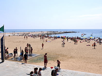 platja de la mar bella barcelona
