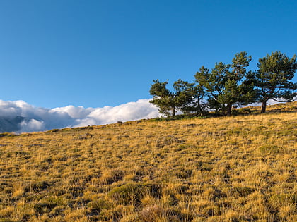 park narodowy sierra nevada