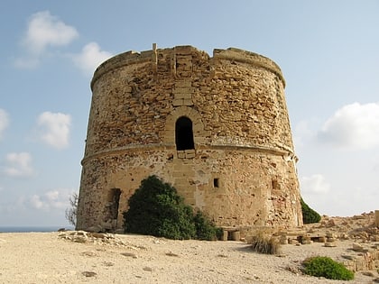 torre dalbarca majorka