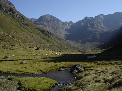 pico de medacorba