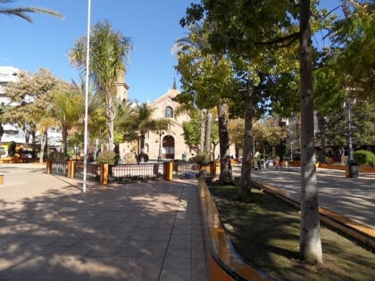 plaza de la constitucion torrevieja