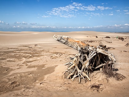 platja de la marquesa delta de lebre