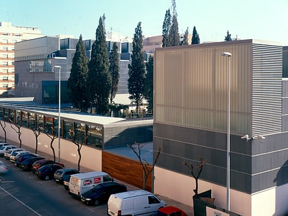 Museo de Bellas Artes de Castellón