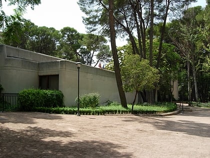 museo de albacete