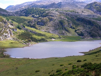 lake ercina park narodowy picos de europa