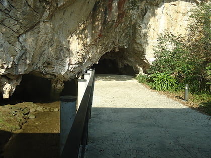 grotte de tito bustillo ribadesella