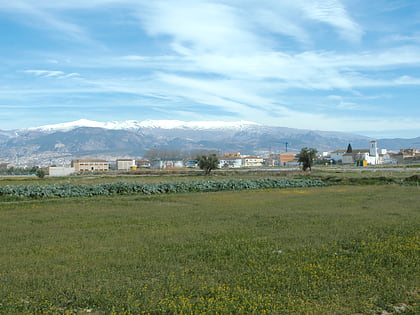 churriana de la vega granada