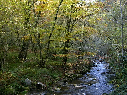 natural park of fuentes del narcea