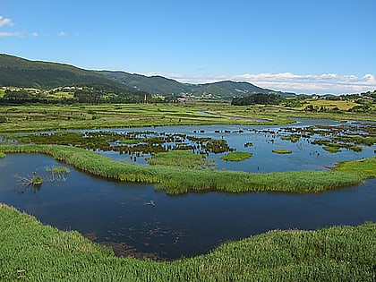 urdaibai bird center reserve de biosphere durdaibai