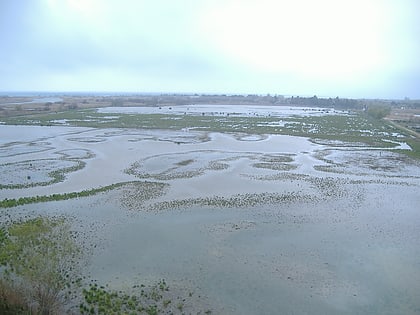 Aiguamolls de l'Empordà