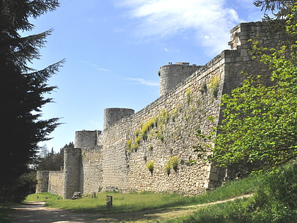 castillo de burgos