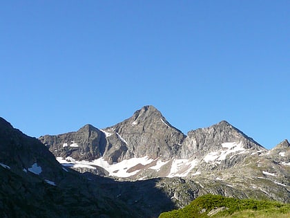 pico de arriel