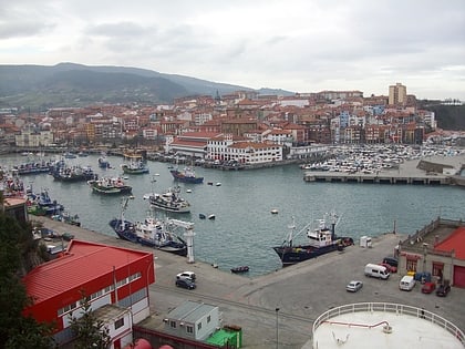 bermeo urdaibai estuary