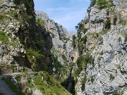 cares trail picos de europa national park