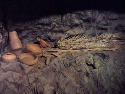 Museo Guanche